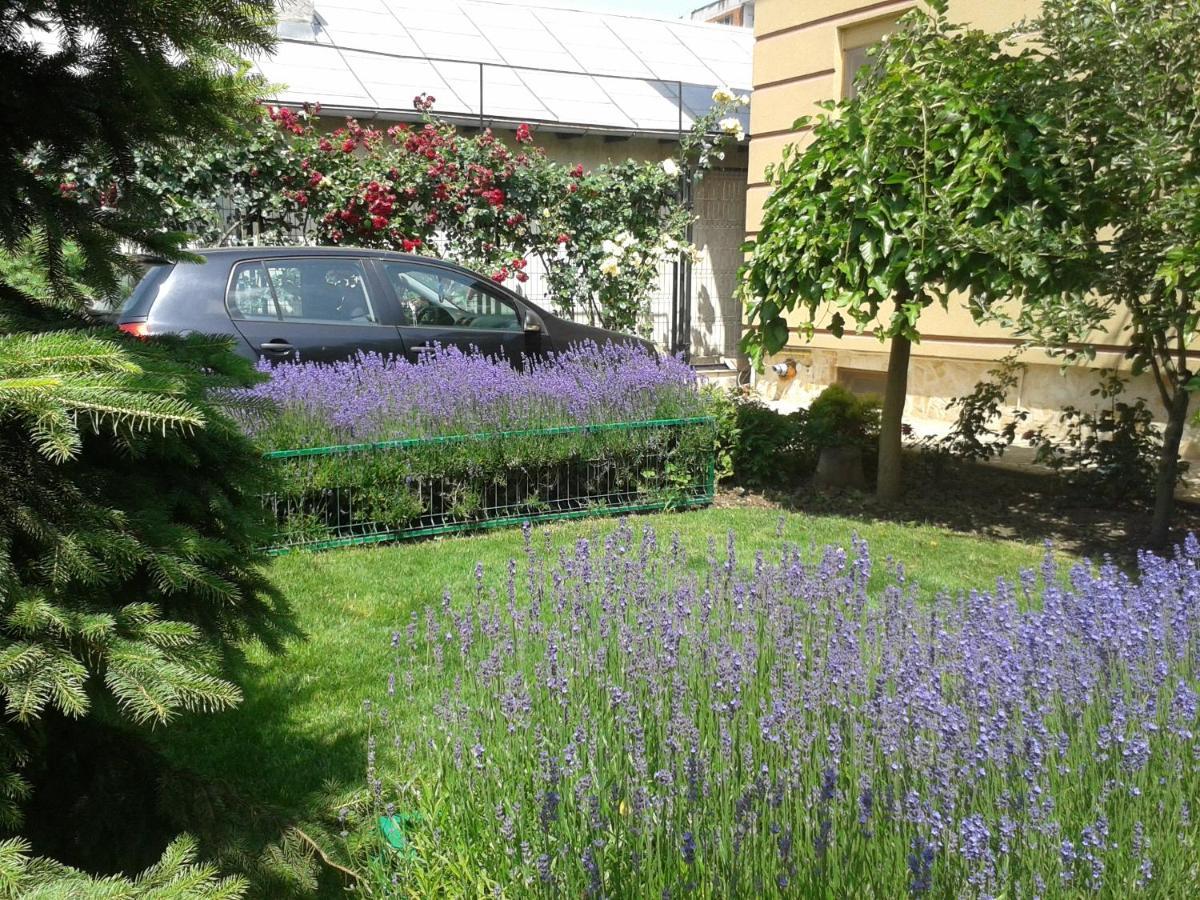 Bed and Breakfast Casa Edwin Констанца Экстерьер фото